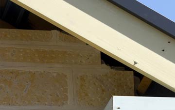 soffit repair Strathcoul
